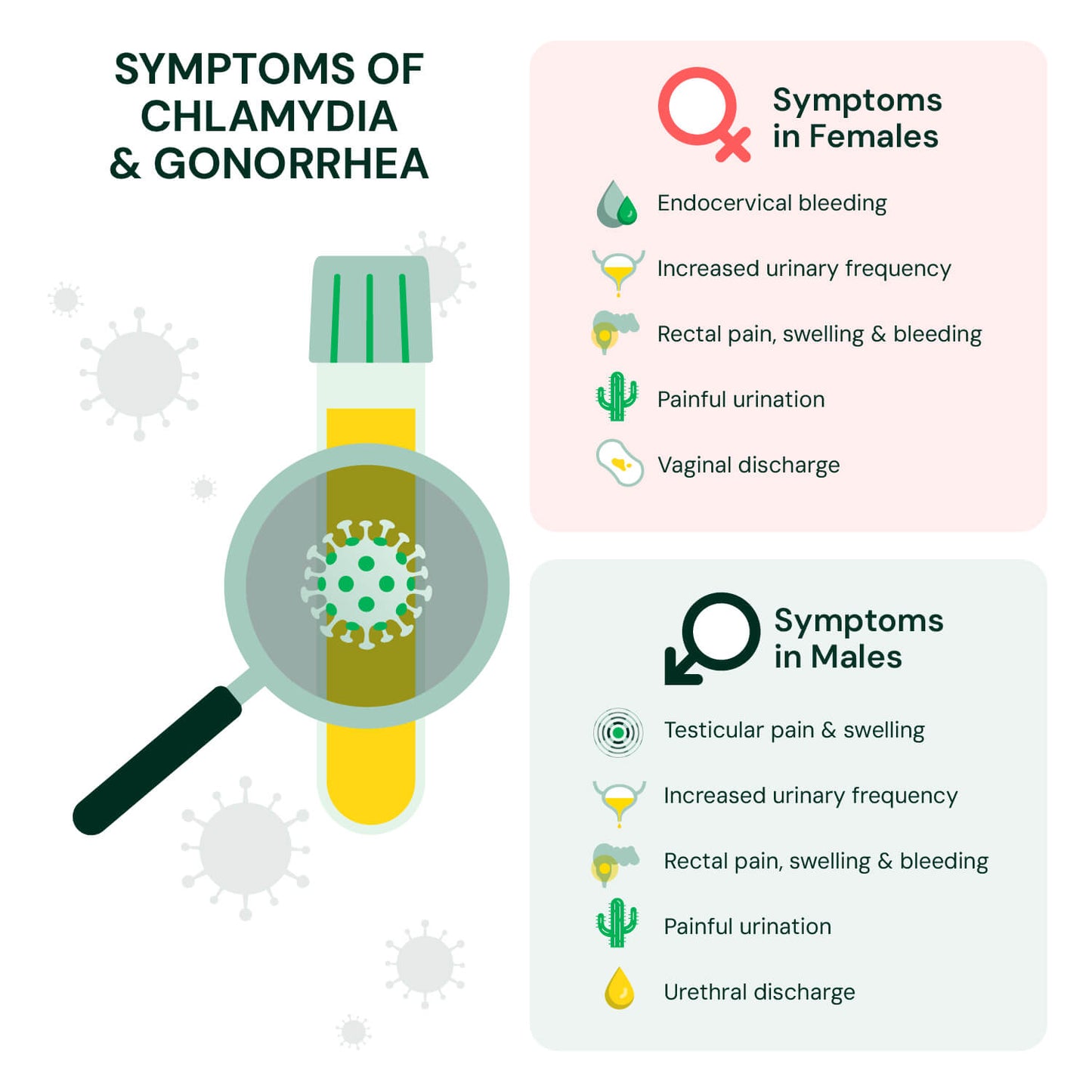 Chlamydia & Gonorrhea Test