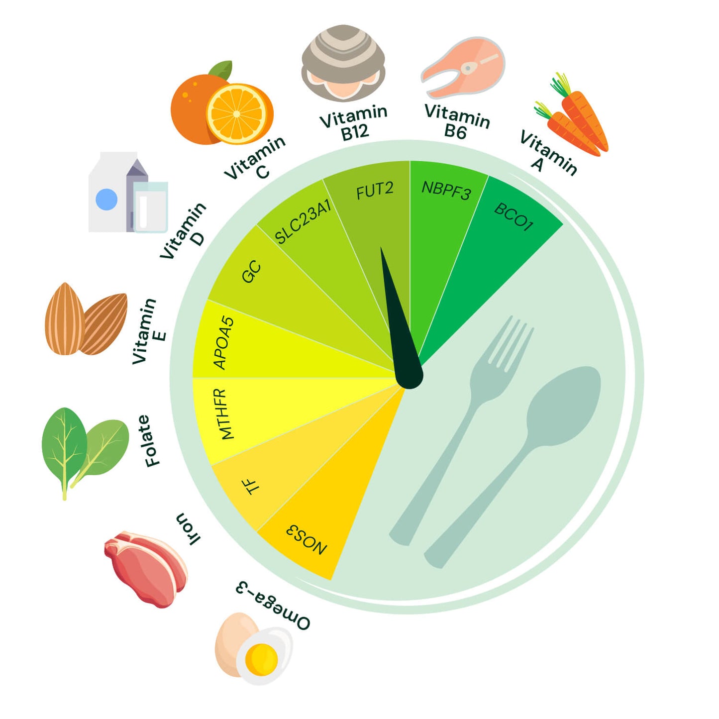 DNA Nutrition & Fitness 3-Test Combo