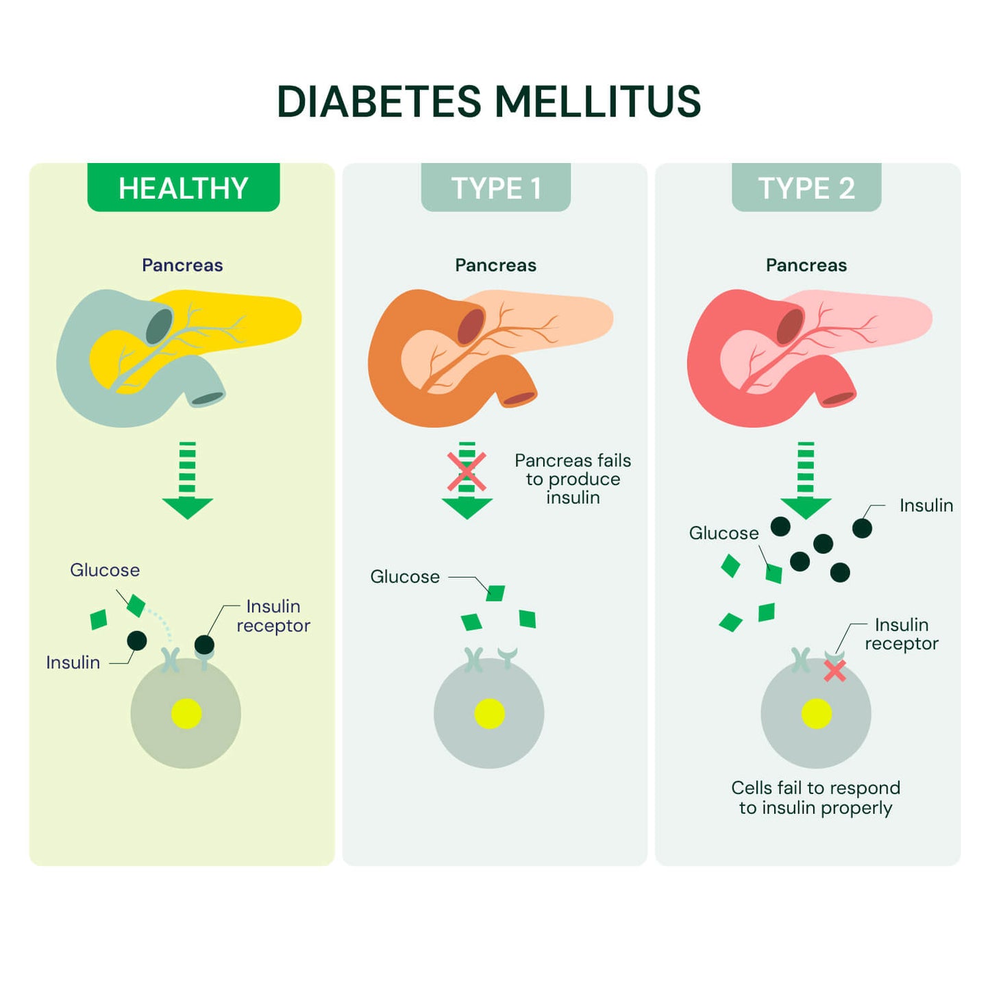 DNA Diabetes Risk Test